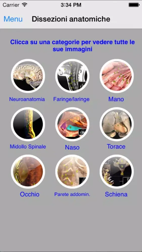 Enciclopedia dell'ANATOMIA - FREE Screenshots