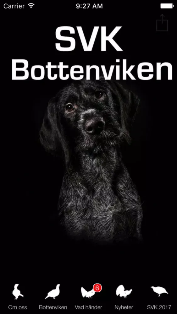 SVK Bottenviken स्क्रीनशॉट