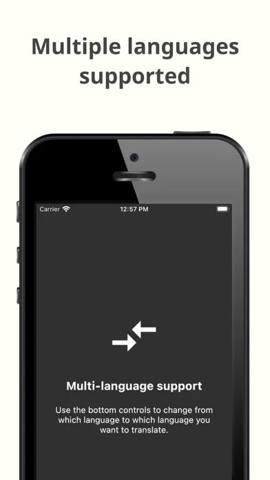 Zrzuty ekranu Camera Translator (Live)