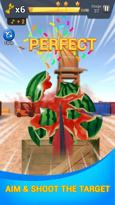 Archery: Master Shooter 스크린샷