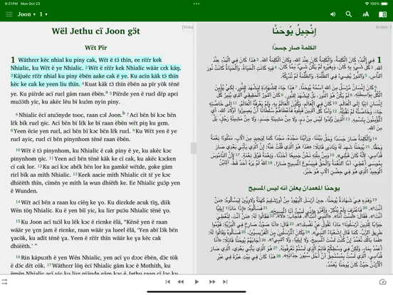 Capturas de pantalla de Dinka English Arabic iPad 