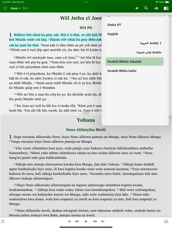 Capturas de pantalla de Dinka English Arabic iPad 