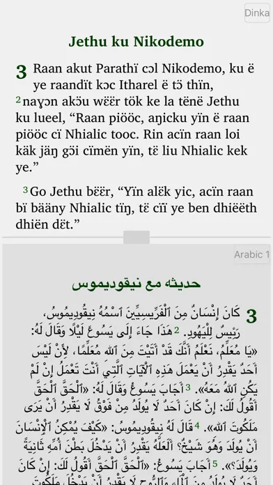 Capturas de pantalla de Dinka English Arabic