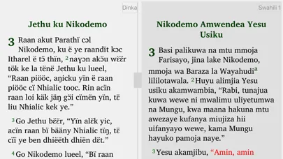 Capturas de pantalla de Dinka English Arabic