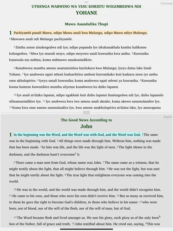 Chichewa Yao English Swahili iPad  Screenshots