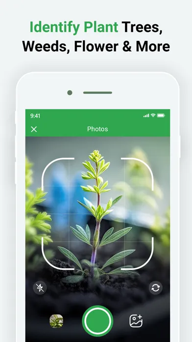 Plant Identify By Camera Scan سکرین شاٹس