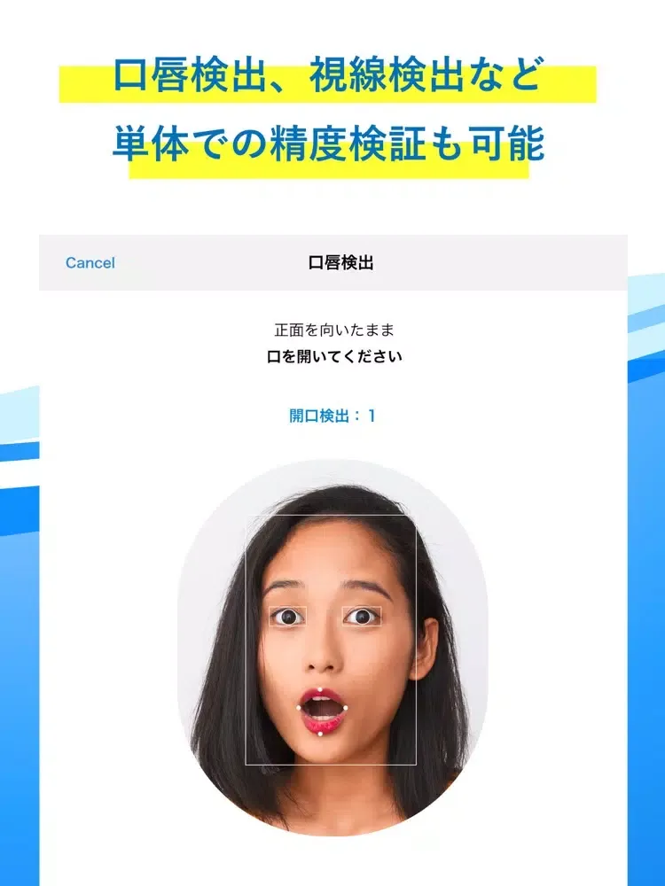ライブネス判定 for eKYC iPad 應用截圖