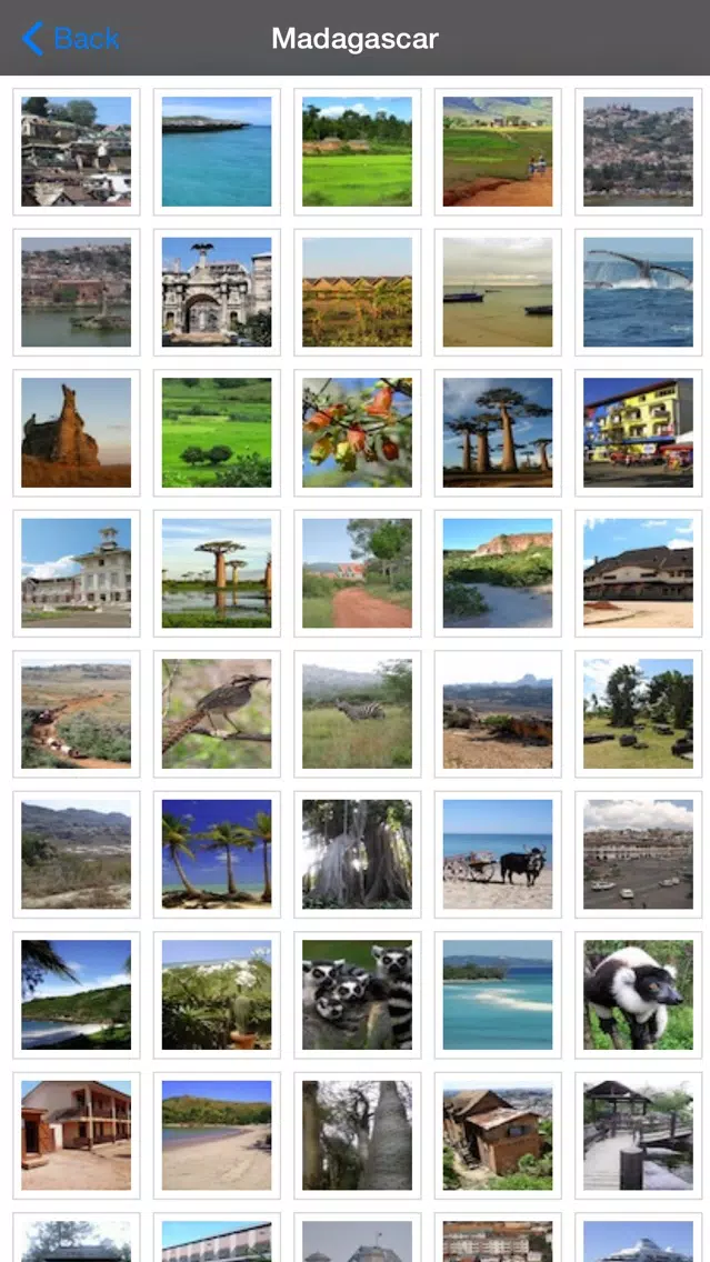 Madagascar Tourism Guide سکرین شاٹس