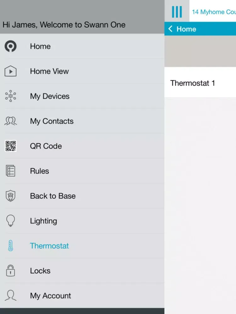 Скриншоты SwannOne iPad 