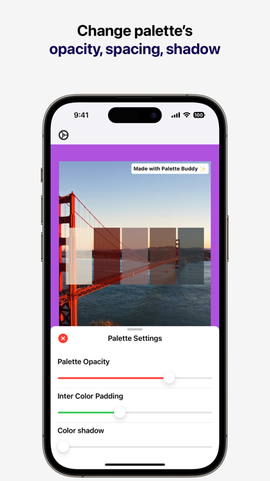 Palette Buddy سکرین شاٹس