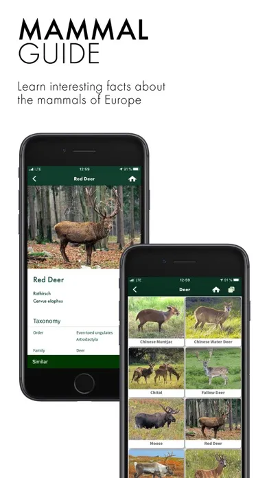 Capturas de pantalla de SWAROVSKI OPTIK Wildlife ID
