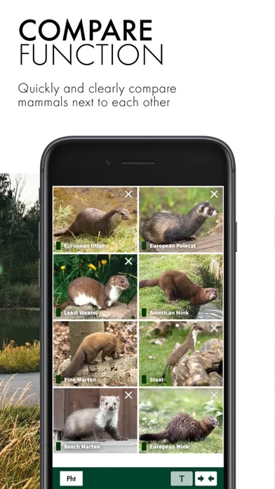 Capturas de pantalla de SWAROVSKI OPTIK Wildlife ID
