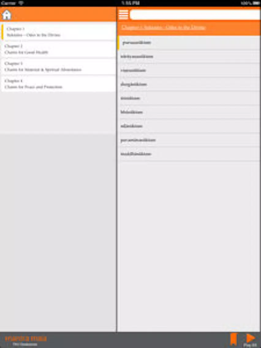 Mantra Mala iPad 应用截图