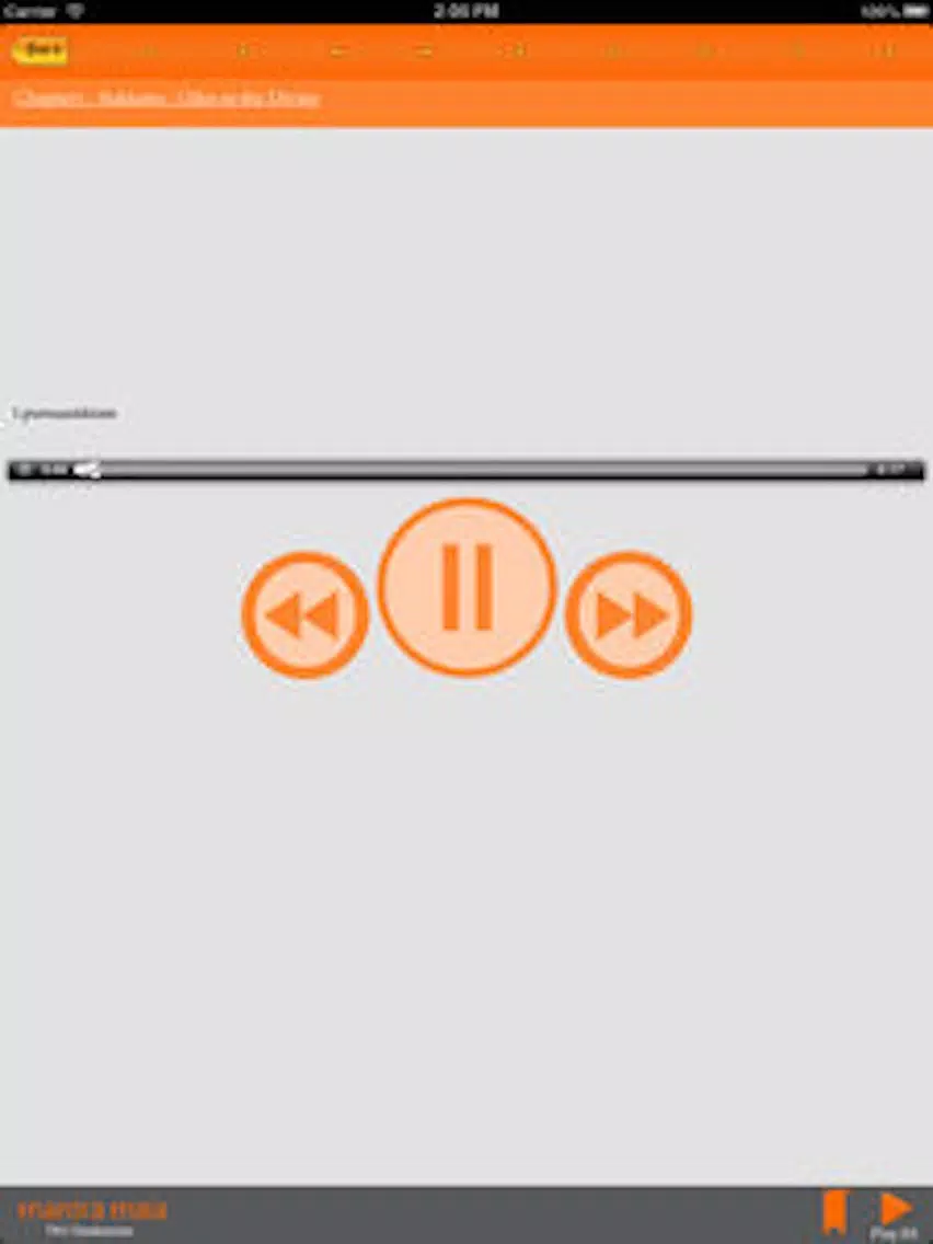 Mantra Mala iPad 应用截图