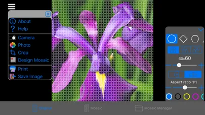 Скриншоты ColorHints Mosaic