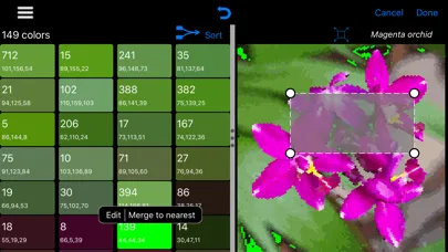 Скриншоты ColorHints Mosaic
