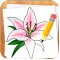 How to Draw Flowers