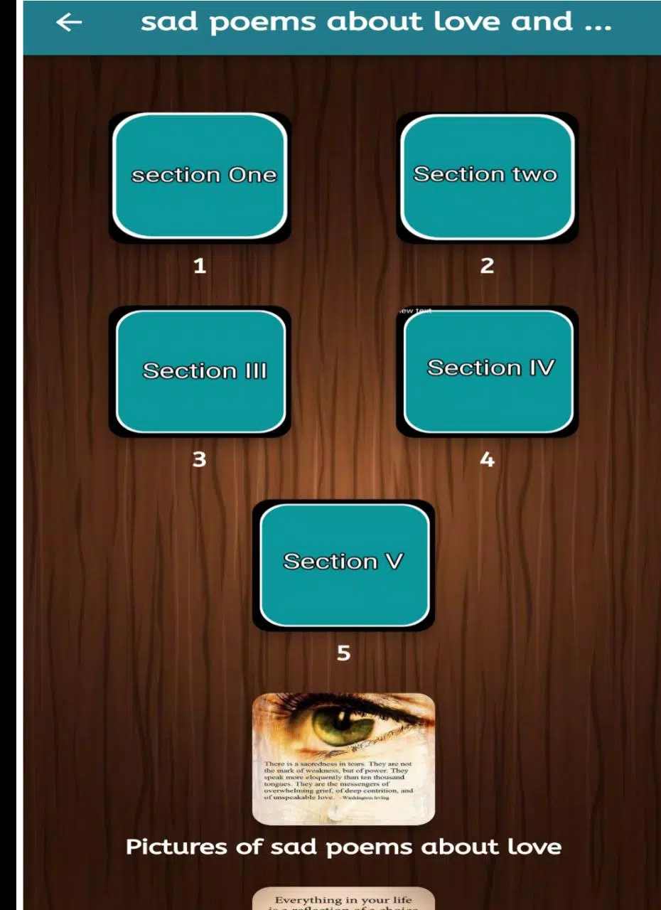 sad poems about love and pain Screenshots5
