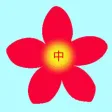 Pinyin Garden
