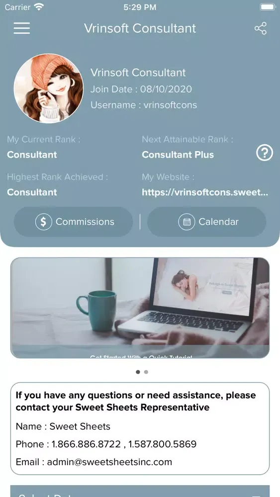 Zrzuty ekranu Sweet Sheets® Consultants