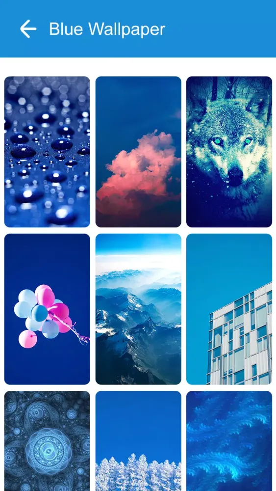 Blue Wallpaper 2024 스크린샷