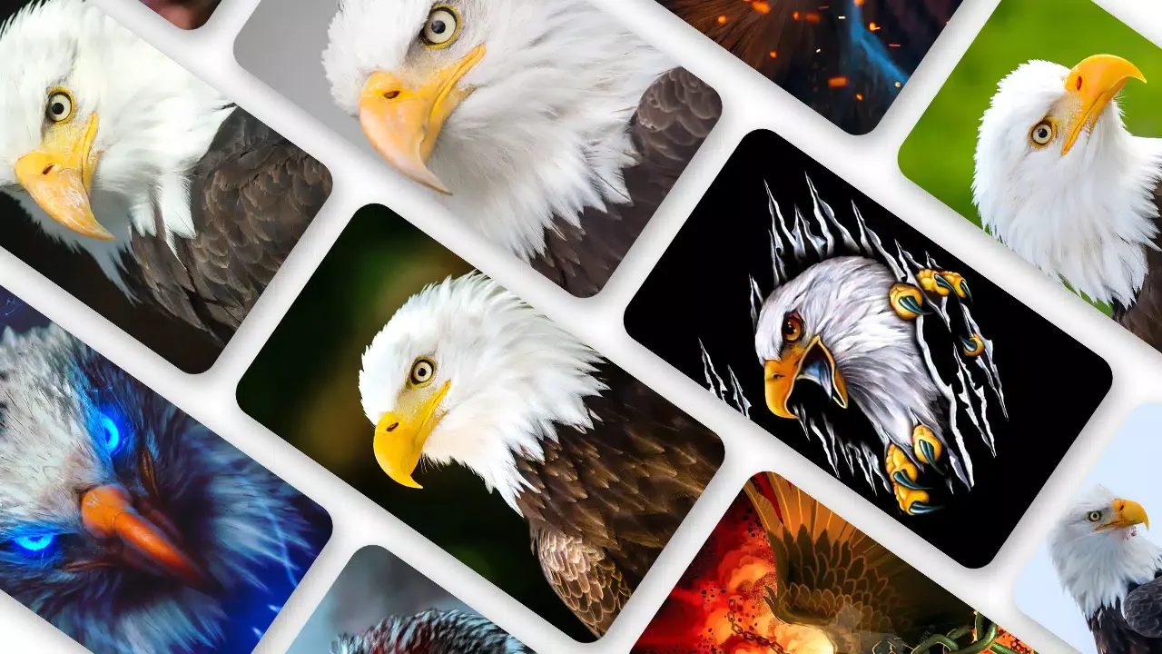 Eagle Wallpaper 2024 Ekran Görüntüleri