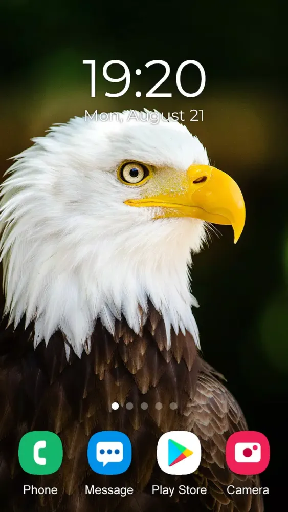 Eagle Wallpaper 2024 Ekran Görüntüleri