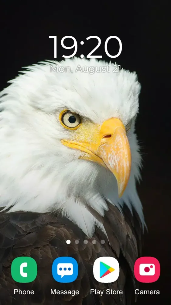 Eagle Wallpaper 2024 Ekran Görüntüleri