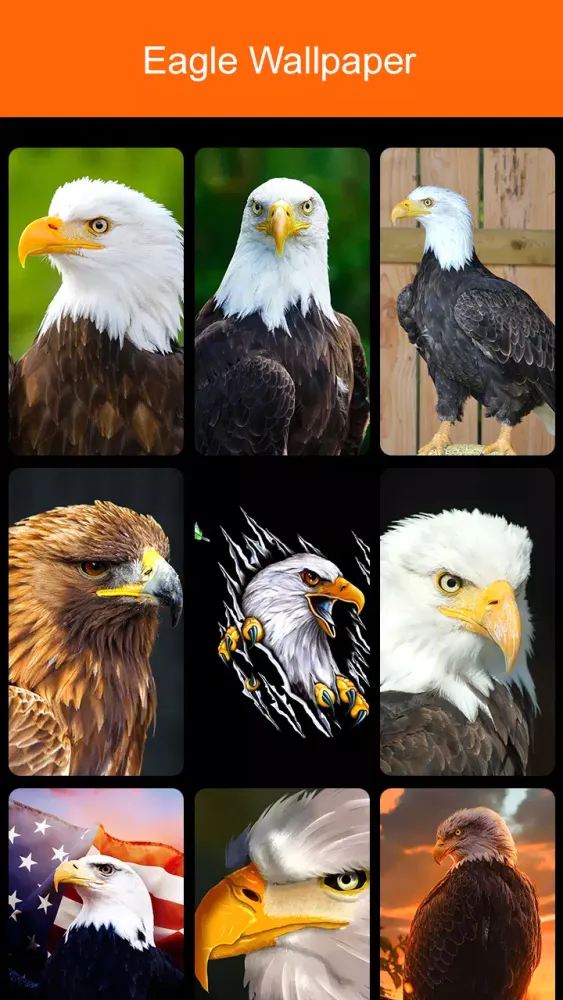 Eagle Wallpaper 2024 Ekran Görüntüleri