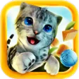 CatSimulator