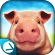 Pig Simulator