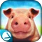 Pig Simulator