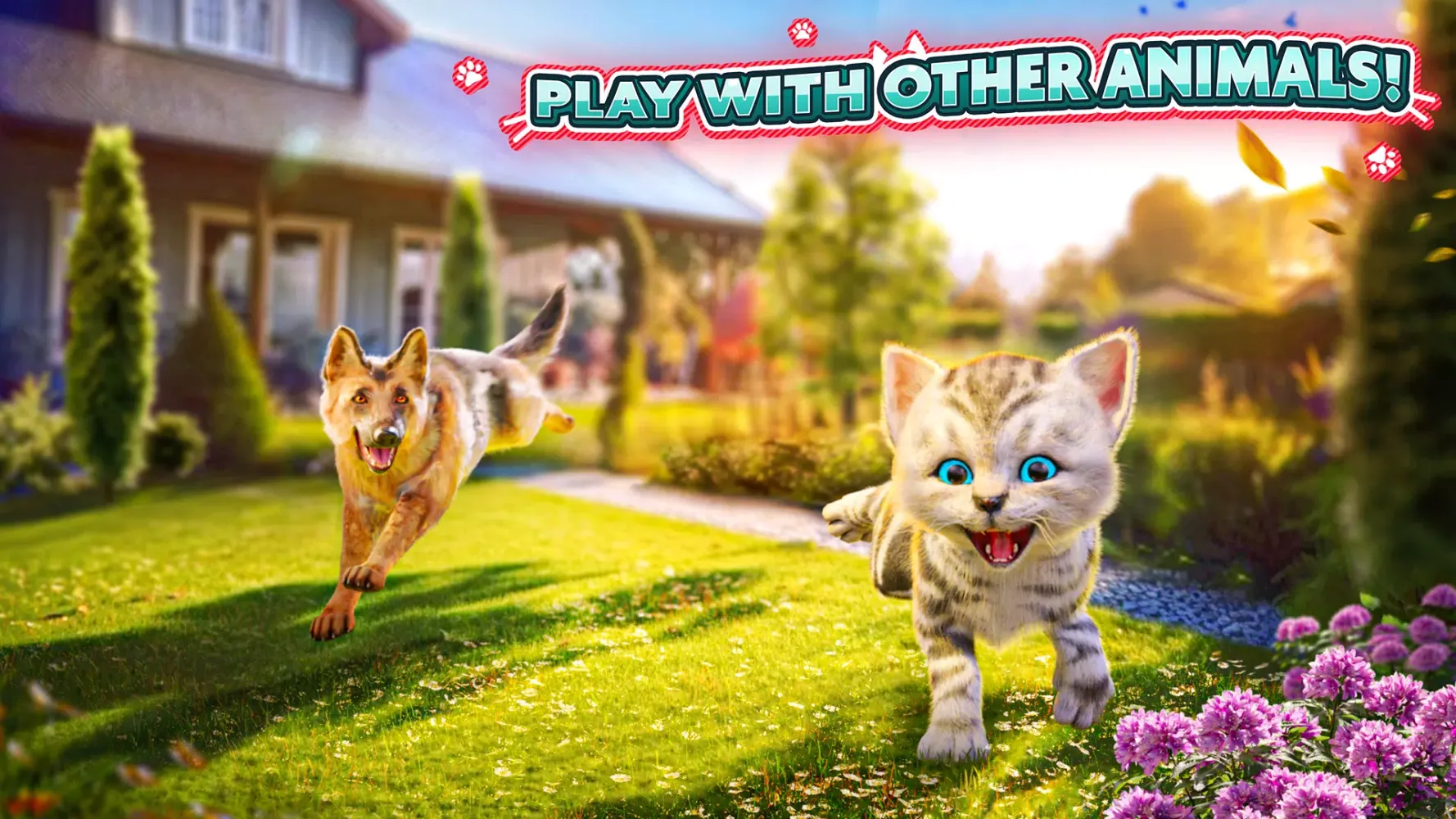 Cat Simulator 2应用截图