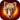 The Cheetah