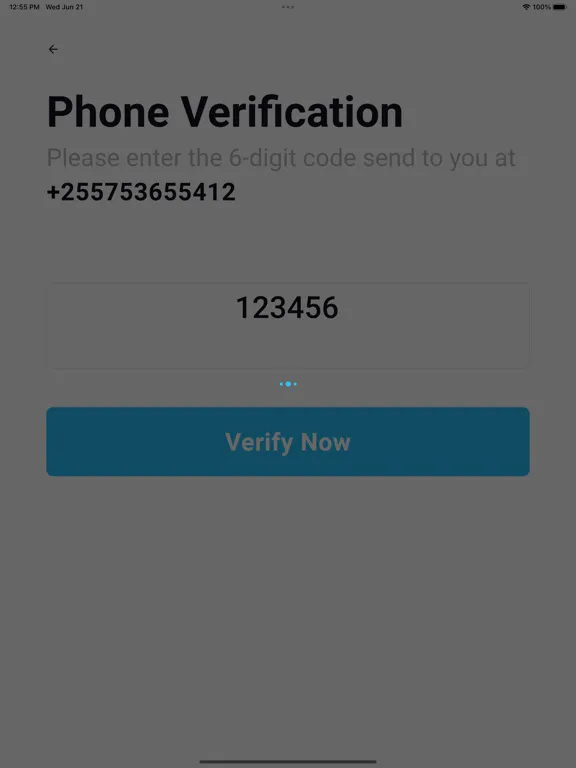 Swiftcabb Driver iPad  Ekran Görüntüleri