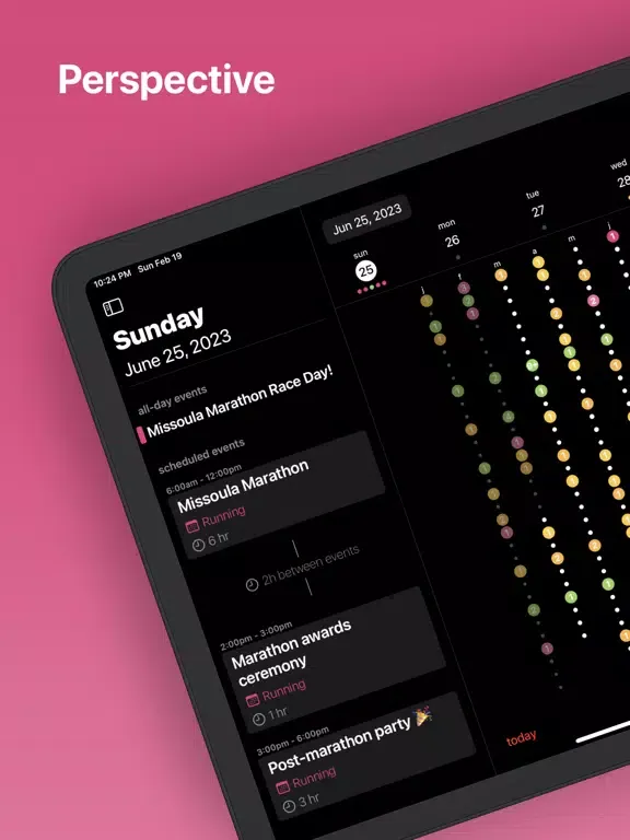 Tangkapan skrin Perspective: A Calendar App iPad