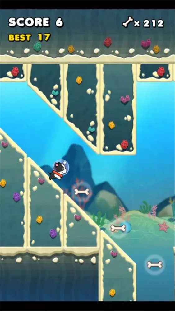 Swimming Dog Screenshots