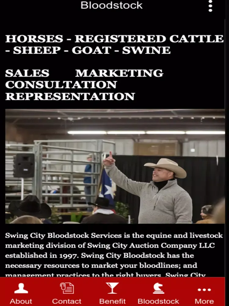 Swing City Auction Co iPad  Screenshots