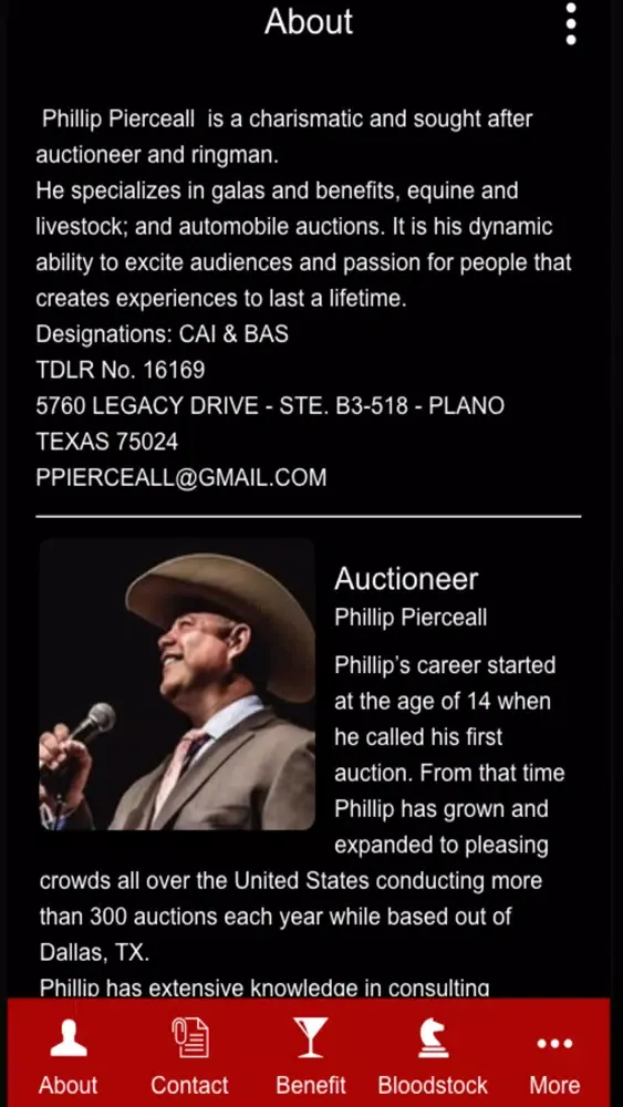 Swing City Auction Co Screenshots