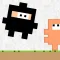Ninja Twinz