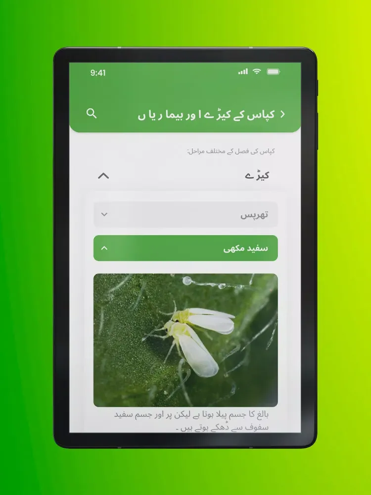 Capturas de pantalla de Bakhabar Kissan