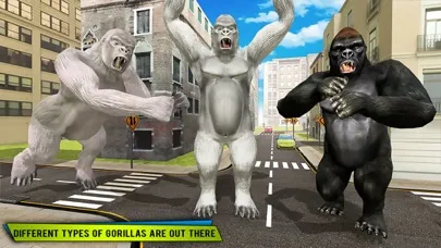 تصاویر Rampage Redemption World Fight