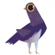 Trash Doves
