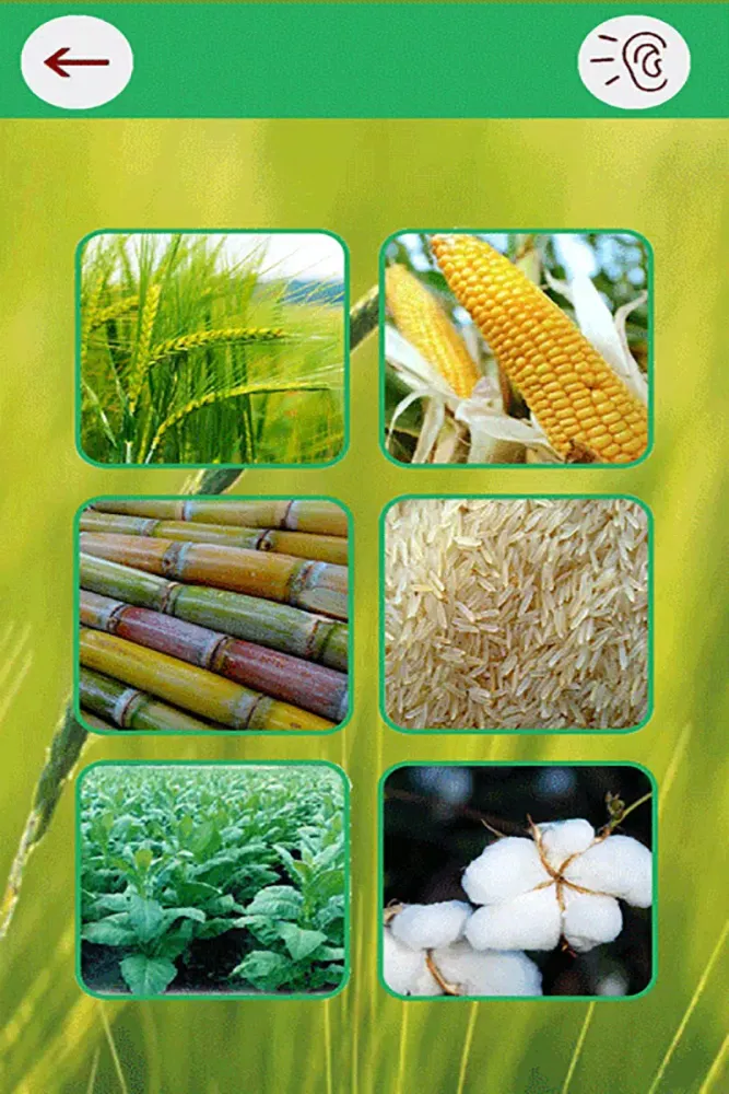 Kisan Sahulat 스크린샷