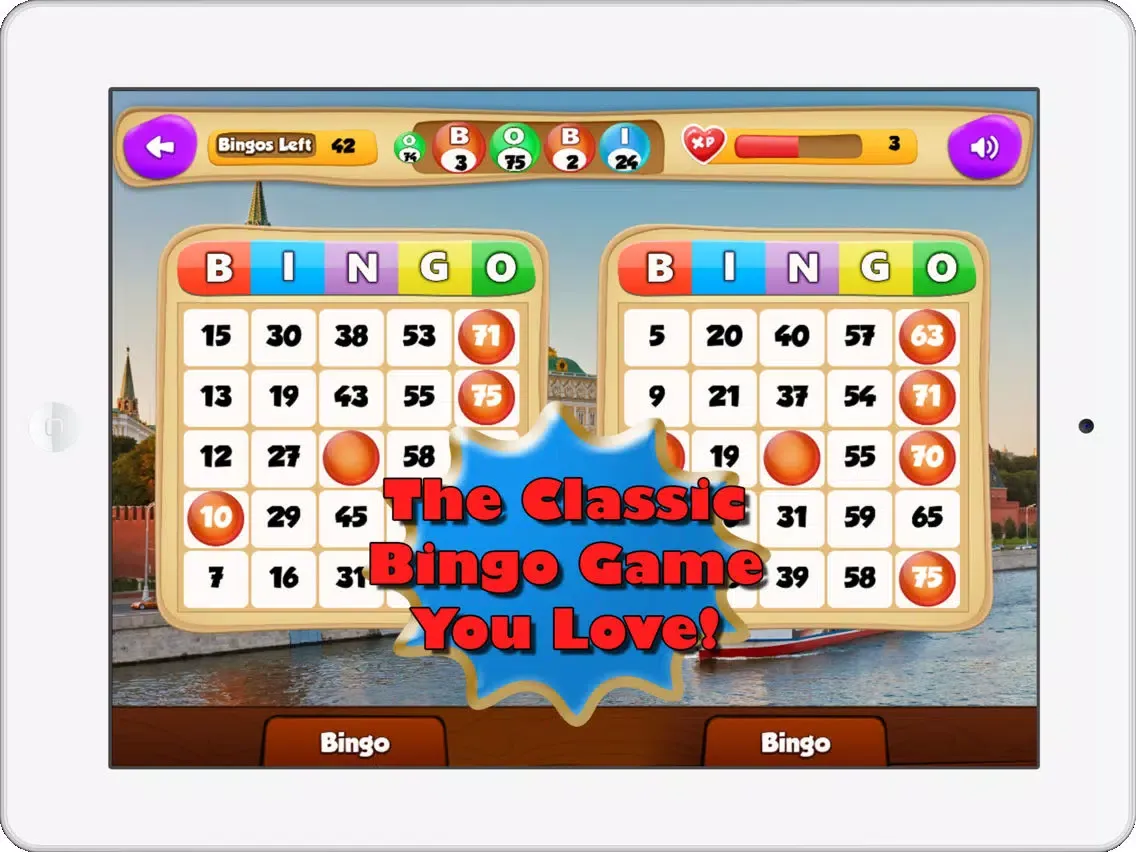 Bingo Bongo - Free Bingo Game iPad  스크린샷