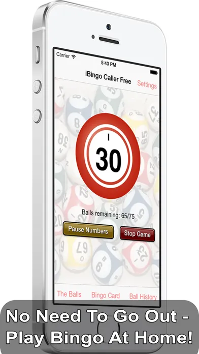 Tangkapan layar iBingo Caller - Play Bingo at Home with Friends!