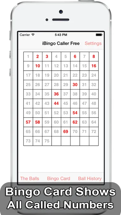 Tangkapan layar iBingo Caller - Play Bingo at Home with Friends!
