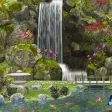 Cardiac Coherence : The Garden