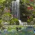 Cardiac Coherence : The Garden