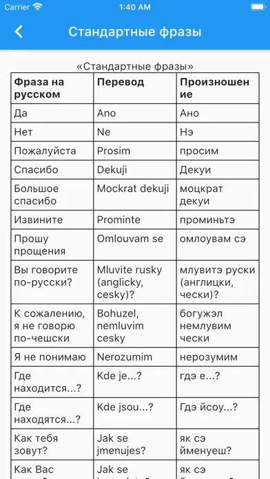 Чешско-Русский Словарь. Screenshots